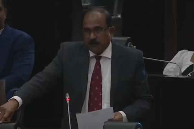 Coming weeks decisive for Sri Lanka due to global developments - Deputy Defense Minister