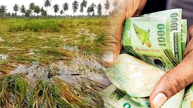 Compensation process begins for farmers affected by crop damage in 2025'26 Maha Season