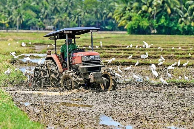 Farmers to receive fuel for harvesting and ploughing without QR code
