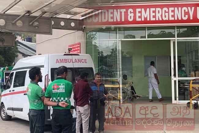 Seven police officers injured in wasp attack during raid in Kotmale