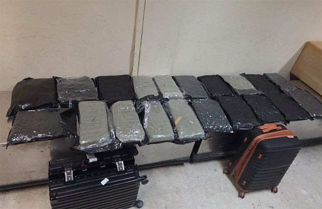 Canadian national arrested at BIA with over 21kg of Kush cannabis