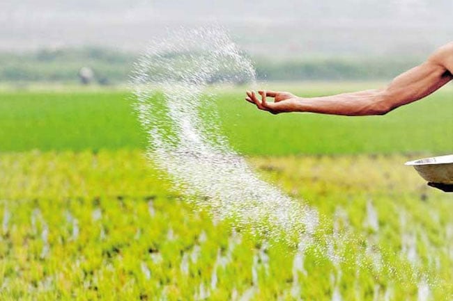 Agrarian Service Centers to operate on holidays for Yala season fertilizer distribution