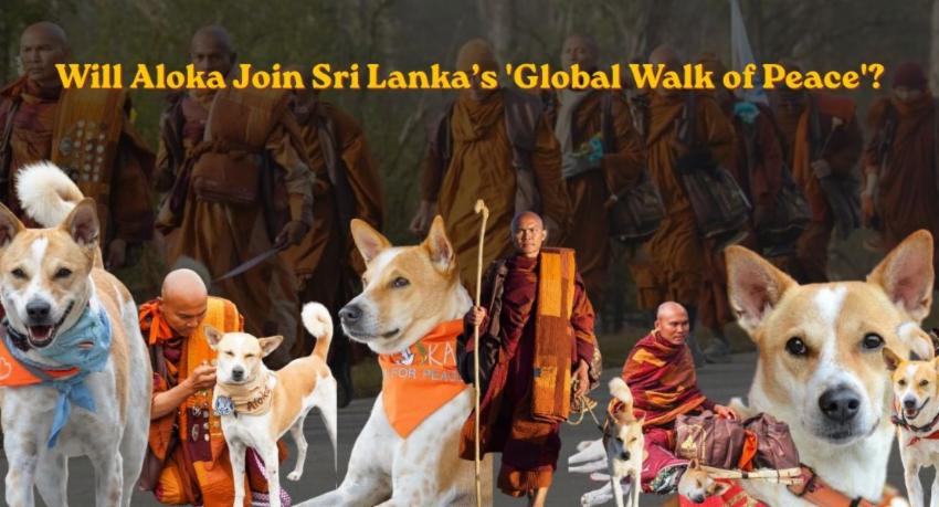 16-04-2026 | 2:36 PMWill Aloka Join Sri Lanka’s Global Walk of Peace?The upcoming “Walk of Peace” set to be held in Sri...
