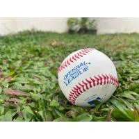 Baseball Accessories Lanka  Online for none