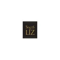 Spaces By Liz  Online for none