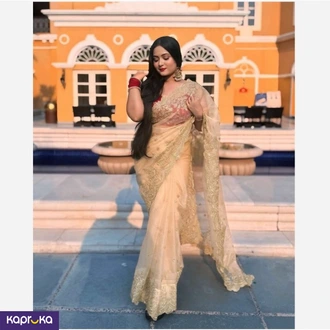 Heavy Soft Nylon Organza Saree  Online for none