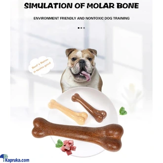 Hard Plastic Dog Bone Chew Toy for Dog Teething Aggressive Chewer Dental Toy Non Toxic PP Toys Buy Rav & Company Online for specialGifts