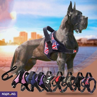 Adjustable Dog Harness Padded Pets Durable Nylon Vest Harness Traction Training Rope Chain Body Belt Buy pet Online for specialGifts