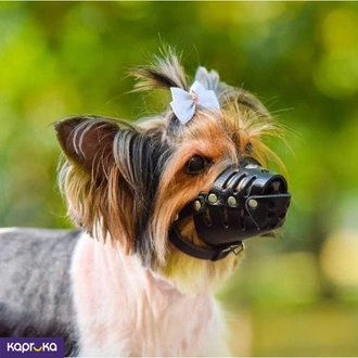 Small Dog Natural Leather Muzzle Prevent Biting Chewing Barking Adjustable Buckle Neck Strap Mouth Buy pet Online for specialGifts