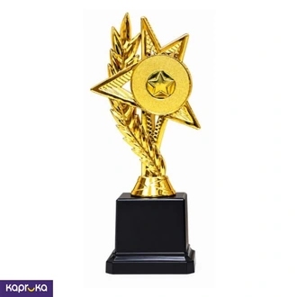 Trophy B 602 Hieght 22 Cm Pd Buy sports Online for specialGifts