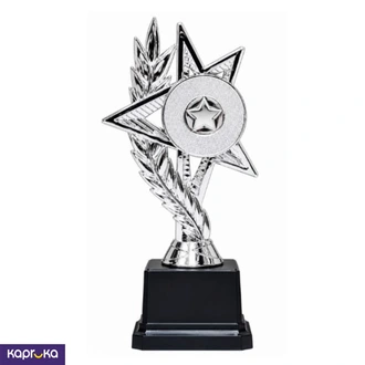 Trophy B 602 Hieght 22 Cm Pd Buy sports Online for specialGifts