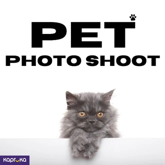 Pet Photography Service  Online for none