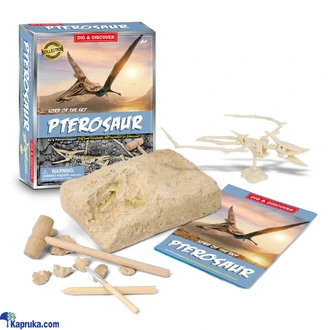 Dinosaurs Fossil Pterosaur Bones Excavation Kit Dino Fossil Digg  Online for none