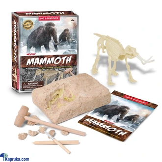 Dinosaurs Fossil Mammoth Bones Excavation Kit Prehistoric Animal  Online for none