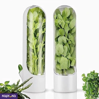 Fridge Organizer And Herb Saver Container 1 Pc  Online for none