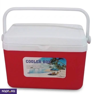 Cooler Box 4l  Online for none