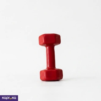 Dumbbells Blue Or Red 2kg Buy sports Online for specialGifts