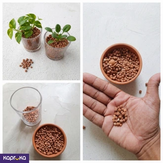 Mini LECA Clay Balls 400g - Indoor Gardening n Hydroponics  Online for none
