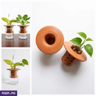 Terra Hydro Planter Set of 2 with LECA Balls - Sri Lanka  Online for none