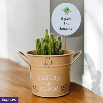 Awesome Hug Cactus Pot  Online for none