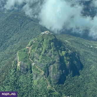 Siri Pada Scenic Flight Buy Gemray Tours Online for SERVICES