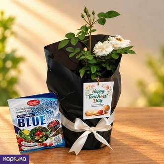Teachers Day White Rose Plant Gift with Fertiliser - Kapruka  Online for none