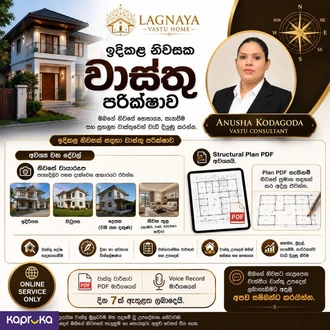 Professional Online Home Vastu Consultation Personalized Guidance