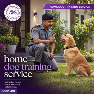 Home Dog Training By Ab Securitas