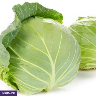 Ranketha Organic Cabbage 250 G  Online for none