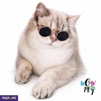 Cat Sunglass Buy WOW PET Online for PETCARE