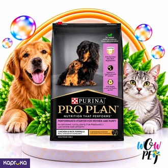 Purina Pro Plan Performance Starter for Mother Puppy Chicken Rice Formula 12kg  Buy pet Online for specialGifts
