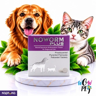 NOWORM PLUS Broad Spectrum Anthelmintic Tablets for Dogs Cats  2 Tablets  Buy pet Online for specialGifts