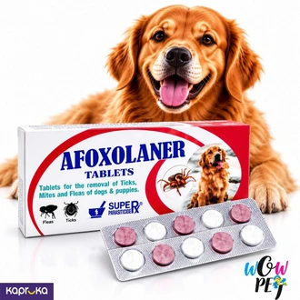 Afoxolaner Tablets Flea Tick Treatment for Dogs 25mg  Buy pet Online for specialGifts