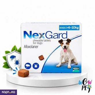 NexGard Chewable Tablet for Dogs  1 Tablet  Buy pet Online for specialGifts
