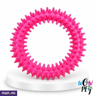 Single Colour Small Cercle Toy For Dogs  Online for none