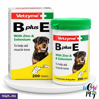 Vetzyme B Plus E Tablets with Zinc Selenium 200 Tablets  Buy pet Online for specialGifts