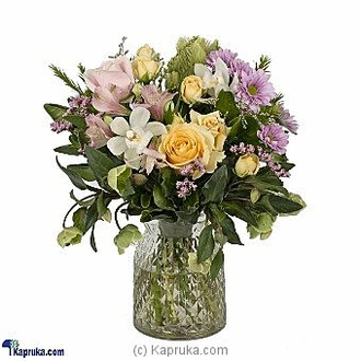 PASTEL SEASONAL SWEETNESS  Online for intgift