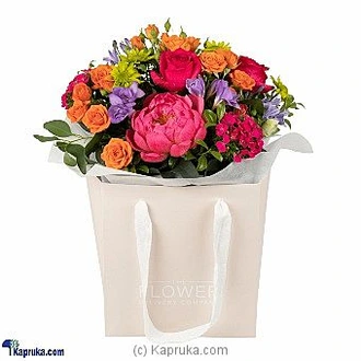 SUMMER SPLASH  Online for intgift