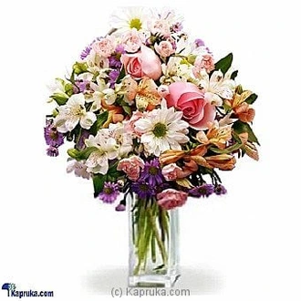 Delicate Delight Buy Canada Online for specialGifts