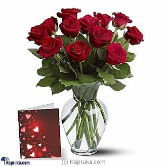 One Dozen Long Stem Red Roses Buy Canada Online for specialGifts