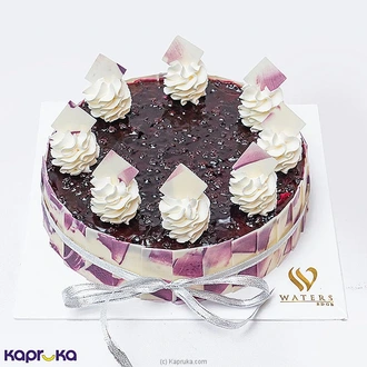 Waters Edge New York Blueberry Cheesecake  Online for none