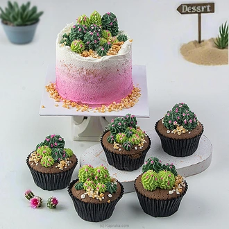 Can`t-touch-this Cactus Delight Bento Cake And 5 Cupcakes  Online for none