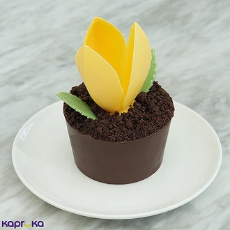 Shangri - La Mother's Day Chocolate Flower Pot at Kapruka Online