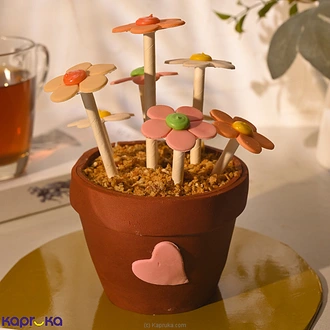 Dilmah Teacher`s Day Vanilla Flower Pot Cake  Online for none