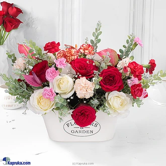 Scarlet Dreamscape Arrangement  Online for none