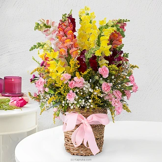 Snapdragon Splendor Flower Arrangement In A Woven Vase  Online for none