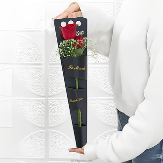 Isabella`s Surprise Portable Kraft Paper Box With 2 Red Roses  Online for none