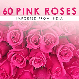 60 Stems Indian Imported Pink Roses ? Bulk Pack Of Pink Blooms  Online for none