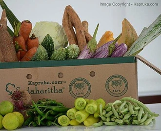 Fresh Vegetable Boxes at Kapruka Online
