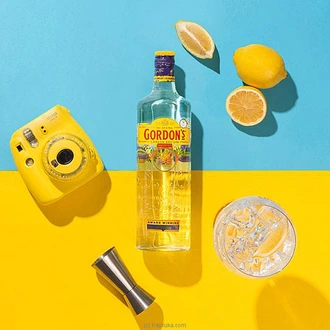 Gordons Dry Gin 750ml  Online for none